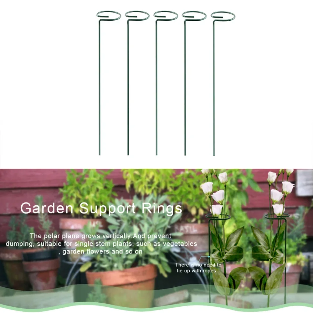 Bonsai Garden Backyard - Metal Long Backyard Bonsai Single Stem