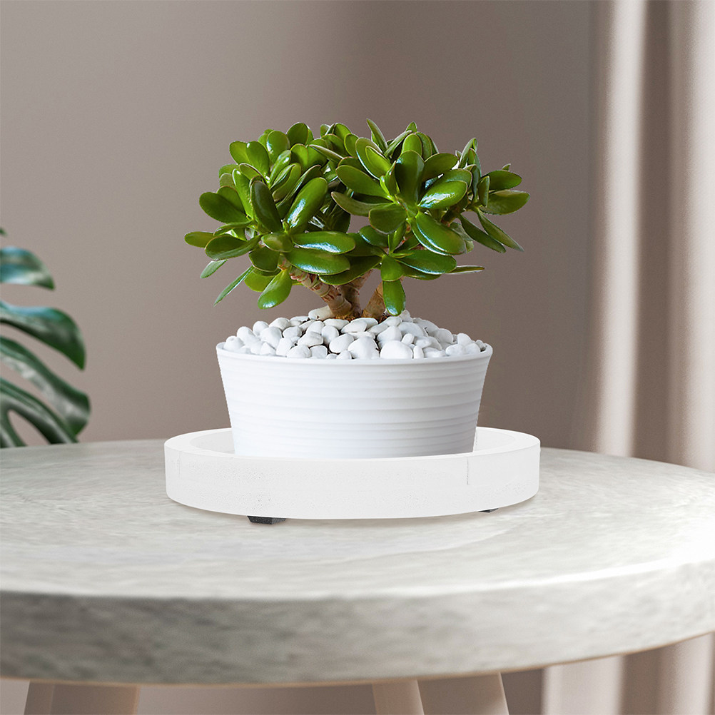 White Round Thick Cementlike P - Humidity Tray Pebble ulasan dan harga