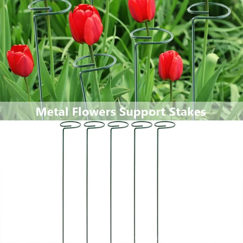 Metal Long Backyard Bonsai Sin - Bonsai Garden Backyard ulasan dan harga
