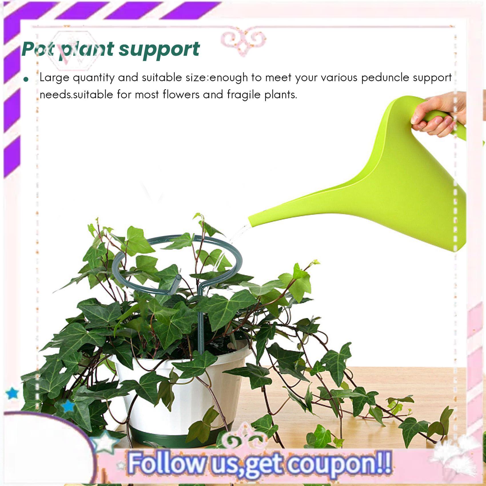 Premium 8PCS Beautiful Plant S - Bonsai Garden Backyard ulasan dan harga