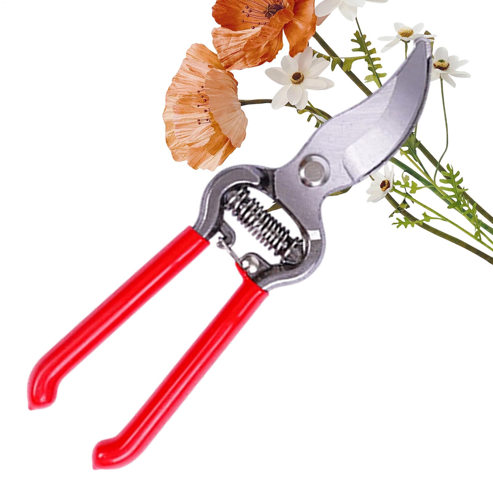 Pruning Shears Handheld Flower - Bonsai Garden Backyard ulasan dan harga