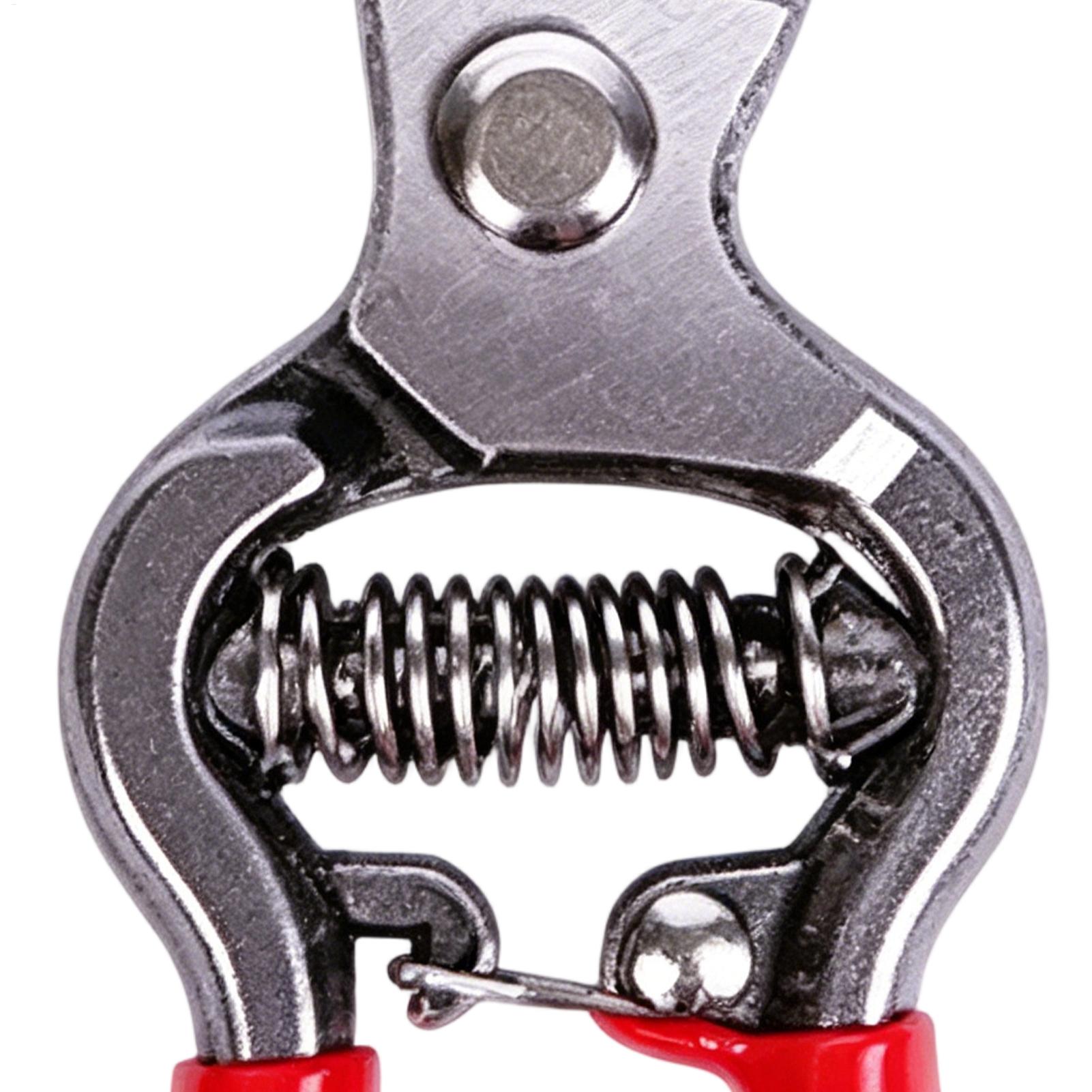Pruning Shears Handheld Flower - Bonsai Garden Backyard ulasan dan harga